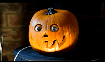EyeCreep™⎪The Pumpkin That Watches You