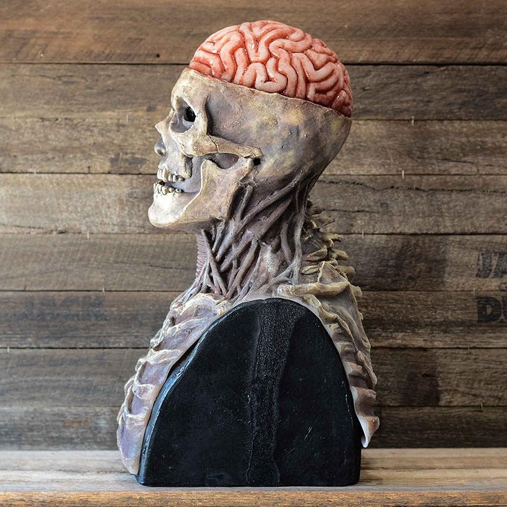 SkullShock™⎪Too Real to Ignore. Too Limited to Wait!