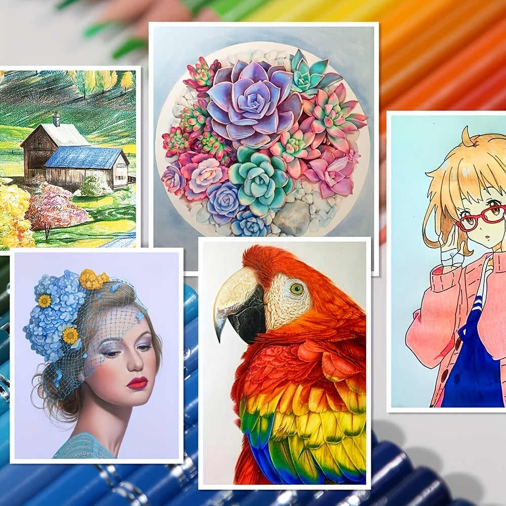 Coloraé™⎪Your Next Masterpiece Starts Here