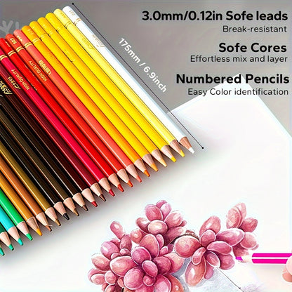 Coloraé™⎪Your Next Masterpiece Starts Here