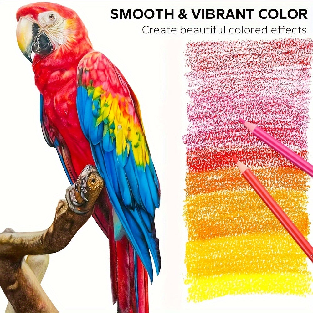 Coloraé™⎪Your Next Masterpiece Starts Here