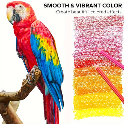 Coloraé™⎪Your Next Masterpiece Starts Here
