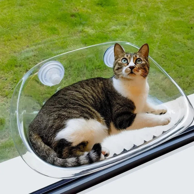 CozyPaws™ | The Ultimate Comfort Zone for Your Cat
